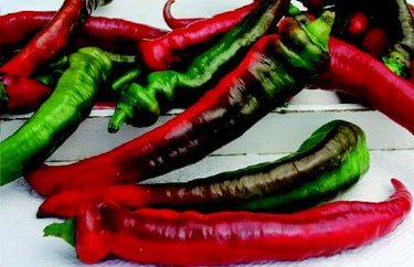 Jimmy Nardello's Non-Bell Pepper Seeds
